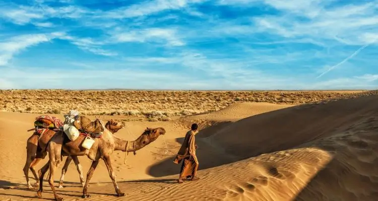 Best Time to Visit Rajasthan: Month-by-Month Guide