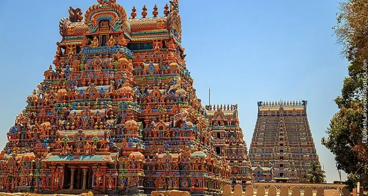 Private Tour vs Group Tour in India | Complete Travel Comparison Guide