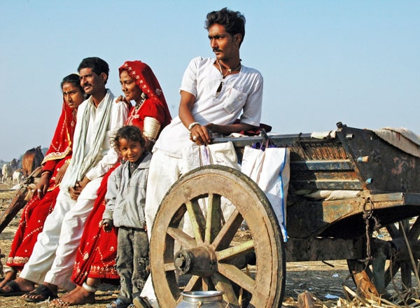 Special Interest Tours