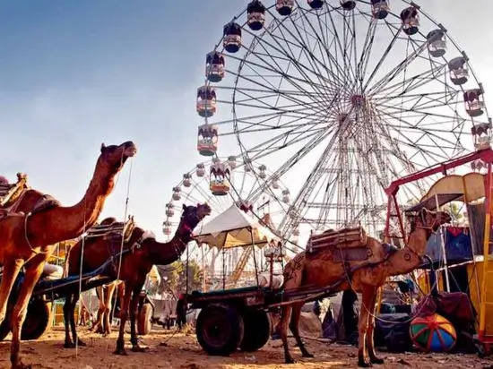Pushkar Camel Fair Tour | Rajasthan Festival Packages