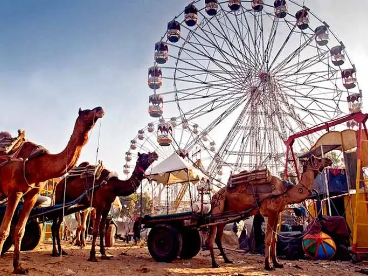 pushkar-camel-fair-in-india