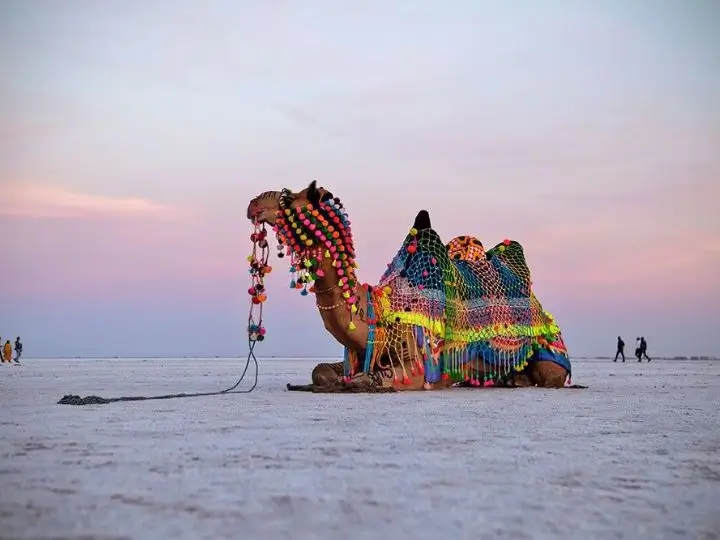 rann-utsav-festival-kutch-gujarat