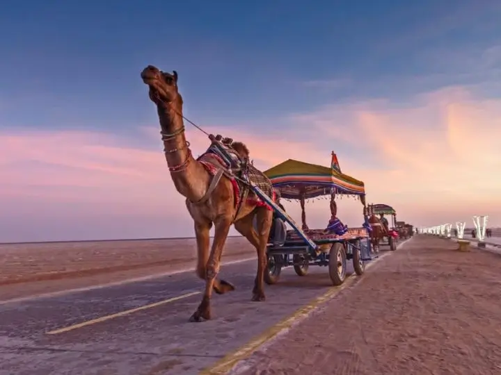 jaisalmer-desert-festival
