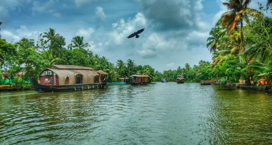 Kerala backwaters with houseboats and palm trees