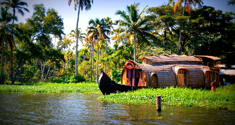 Best of Kerala - 8 Days 7 Nights