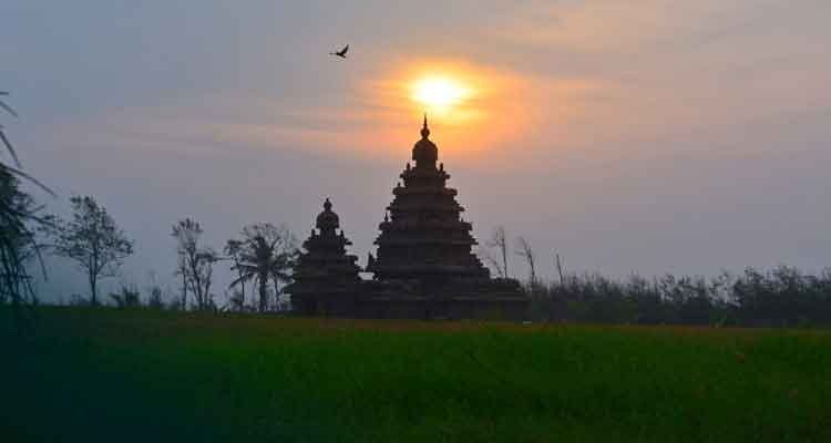 20 days South India Tour from Chennai