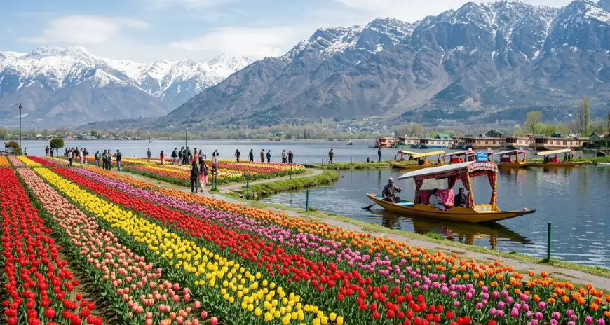 Tulip garden and shikara boats on Dal Lake Kashmir