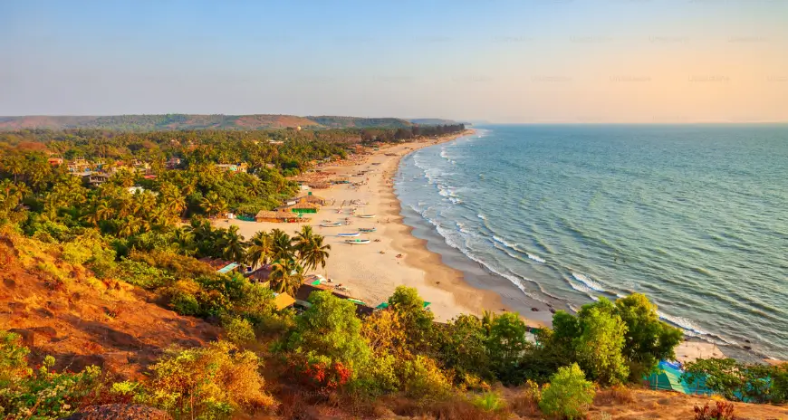 Aerial view of a tropical beach in Goa with palm trees