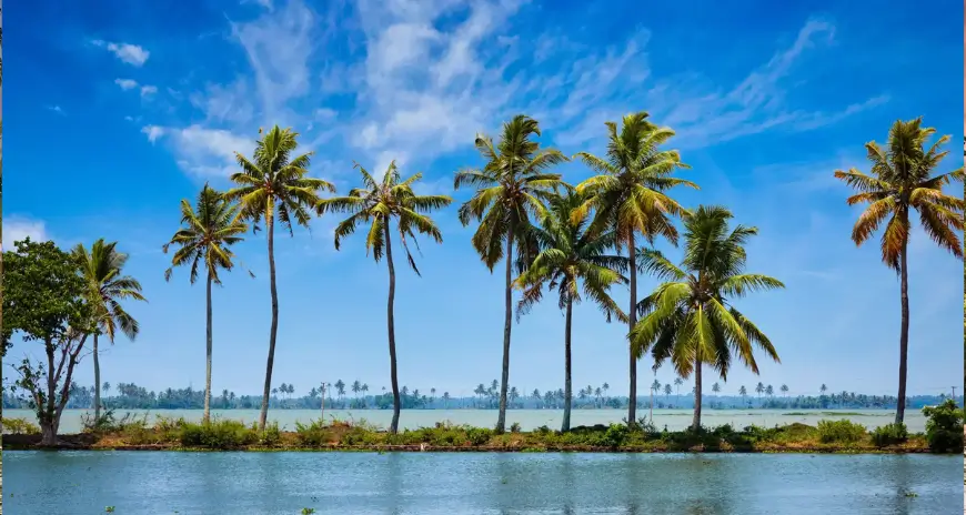 Kerala backwaters with coconut trees