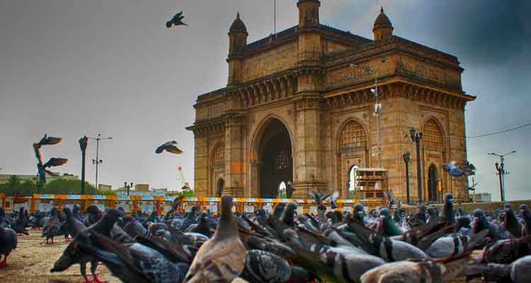 12 Days Mumbai Karnataka and Kerala Tour