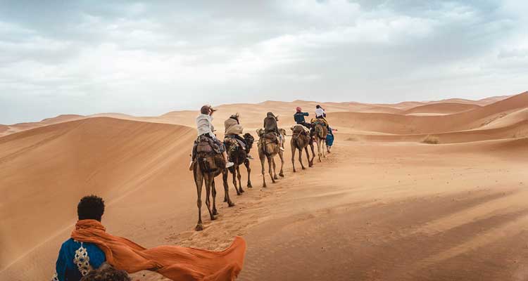 Rajasthan Desert Tour Package, Rajasthan Tour Itinerary of 7 Days