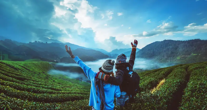 Munnar Kerala honeymoon tour