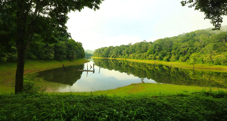 Golden Triangle with South India Tour