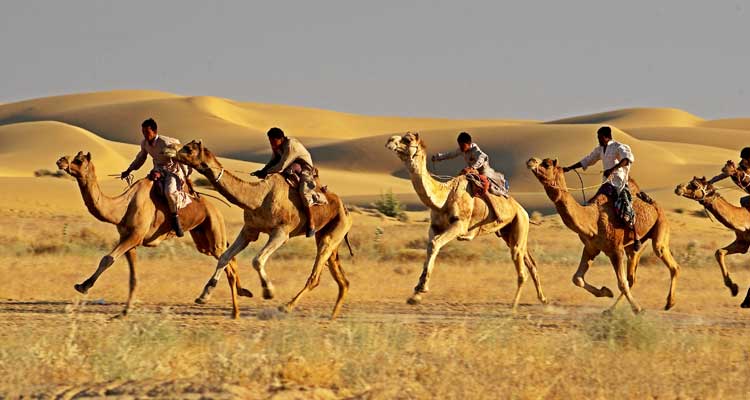 Top Tourist Attractions in Rajasthan, Golden Triangle with Desert Tour