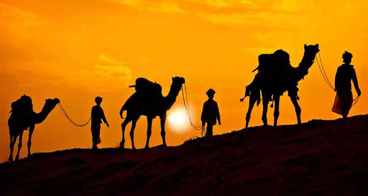 Top Attraction in Rajasthan, Rajasthan Tour and Travel